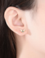 Fashion Gold Color Copper Inlaid Zirconium Pearl Wasp Stud Earrings