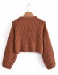 Fashion Brown Twist Knit Pullover Sweater