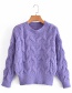 Fashion Purple Crew Neck Pullover