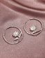 Fashion Silver Alloy Rose C-shaped Earrings