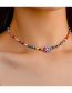 Fashion Pawpaw Colorful Rice Beads Flower Beaded Necklace