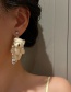 Fashion Beige Diamond Zirconium Plush Bear Love Earrings