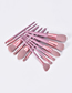 Fashion Pink 12 Makeup Brushes-horse Hair-pink