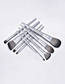 Fashion Silver 8 Makeup Brushes-horse Hair-silver