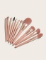 Fashion Gg21081202 11 Candied Cherry Blossom Makeup Brushes + Bag