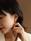 Fashion Pair Of Gold Coloren Body Earrings Titanium Steel Tag Body Circle Ear Ring
