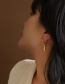 Fashion Pair Of Gold Coloren Body Earrings Titanium Steel Tag Body Circle Ear Ring