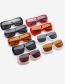 Fashion Leopard Frame Whole Tea Slices Large Frame One-piece Sunglasses
