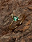 Fashion Pink Jade Zirconium Dinosaur Copper Inlaid Zirconium Open Dinosaur Ring