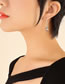 Fashion Steel Grey Pearl Earrings Titanium Gold Plated Imitation Pearl Stud Earrings