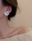 Fashion Pearl Earrings Acrylic Mermaid Pearl Stud Earrings
