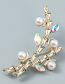 Fashion Gold Alloy Diamond And Pearl Bamboo Brooch