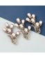 Fashion Gold Alloy Diamond And Pearl Floral Brooch