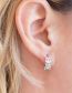 Fashion Silver Color Copper Diamond Leaf Circle Earrings