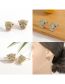 Fashion 2# Brass Diamond Puppy Head Stud Earrings