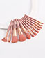 Fashion Pink Set Of 12 Portable Professional Pink Makeup Brushes