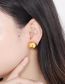 Fashion 4# Stainless Steel Hemisphere Hollow Stud Earrings