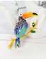 Fashion Color New Personalized Animal Woodpecker Brooch