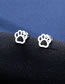Fashion Silver Color Titanium Glossy Cat's Claw Stud Necklace Set