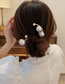 Fashion Gold - Double Pearl Geometric Pearl Hairpin