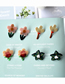 Fashion Flowers Acrylic Contrast Panel Floral Stud Earrings