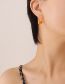 Fashion Silver Titanium Steel Gold Plated Geometric Stud Earrings