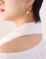 Fashion Silver Titanium Geometric Shell Heart Earrings