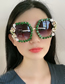 Fashion 2# Resin Diamond Large Frame Sunglasses