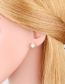 Fashion B Brass Diamond And Pearl Butterfly Stud Earrings