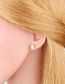 Fashion B Bronze Diamond And Pearl Bear Stud Earrings