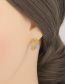 Fashion Blue Bronze Diamond Oil Eye Butterfly Stud Earrings