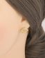 Fashion Gold Color Copper Diamond Eye Stud Earrings