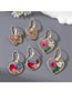 Fashion Round Transparent Preserved Flower Round Earrings