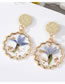 Fashion Round Alloy Transparent Preserved Flower Round Stud Earrings