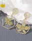 Fashion Yellow Green Leaves Resin Hexagon Preserved Flower Stud Earrings