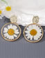 Fashion Yellow Transparent Dried Flower Round Stud Earrings