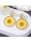 Fashion Yellow Transparent Dried Flower Round Stud Earrings