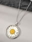 Fashion White Floret Silver Resin Dried Flowers Round Necklace