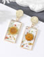 Fashion Orange Flowers 4 Resin Dried Flower Polygon Stud Earrings