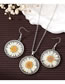 Fashion Necklace Silver Daisy Resin Dried Flowers Round Necklace