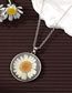 Fashion Set Of Silver Daisies Resin Dried Flower Round Necklace Stud Earrings Set