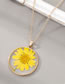 Fashion Yellow Chrysanthemum 8 Resin Preserved Flower Round Necklace