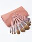 Fashion Pink 11 Pink Makeup Brushes + Pack
