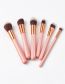 Fashion Pink 6 Makeup Brushes Powder Gold Set New
