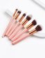Fashion Pink 6 Makeup Brushes Powder Gold Set New