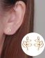 Fashion Rose Titanium Steel Geometric Leaf Stud Earrings