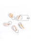 Fashion A Pack Of 5 A0265 Silver Alloy Shell Braided Hair Buckle