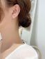 Fashion D White (earrings) Resin Transparent Flower Stud Earrings