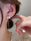 Fashion Gold Coloren Ear Wire Bronze Zirconium Iridescent Flower Drop Earrings