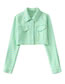 Fashion Green Geometric Check Cropped Coat